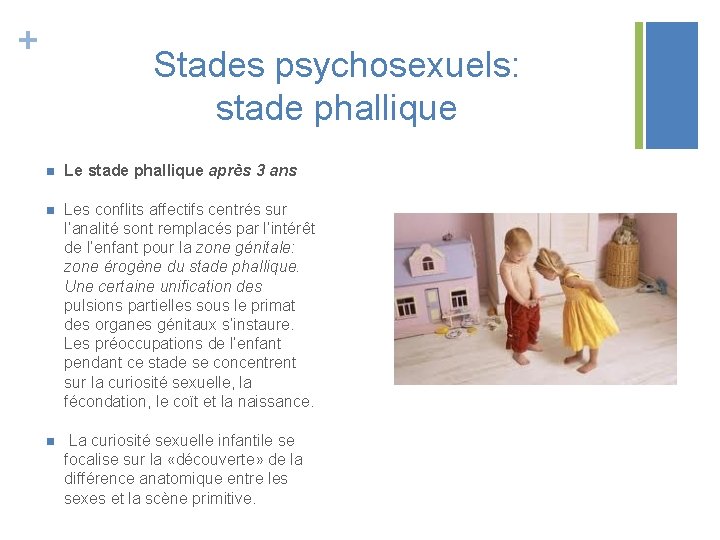 + Stades psychosexuels: stade phallique n Le stade phallique après 3 ans n Les