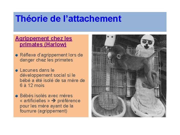 Théorie de l’attachement Agrippement chez les primates (Harlow) Réflexe d’agrippement lors de danger chez