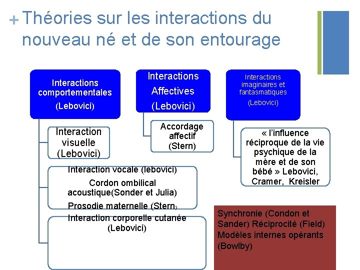 + Théories sur les interactions du nouveau né et de son entourage Interactions comportementales + Théories sur les interactions du nouveau né et de son entourage Interactions comportementales