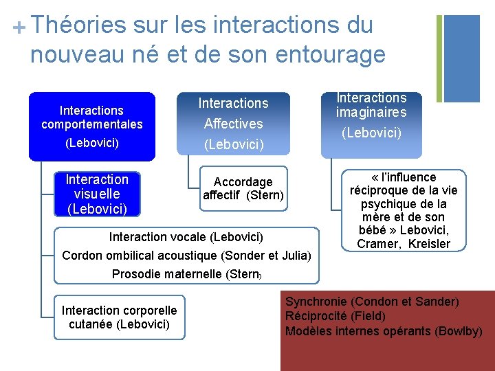 + Théories sur les interactions du nouveau né et de son entourage Interactions comportementales