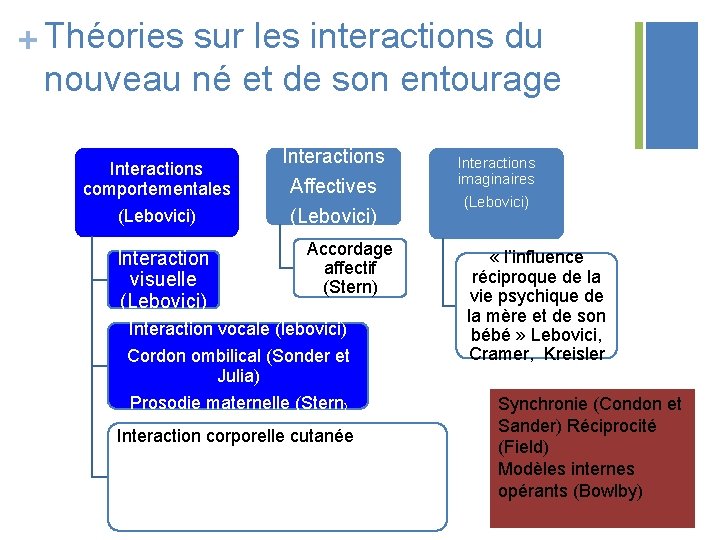 + Théories sur les interactions du nouveau né et de son entourage Interactions comportementales + Théories sur les interactions du nouveau né et de son entourage Interactions comportementales
