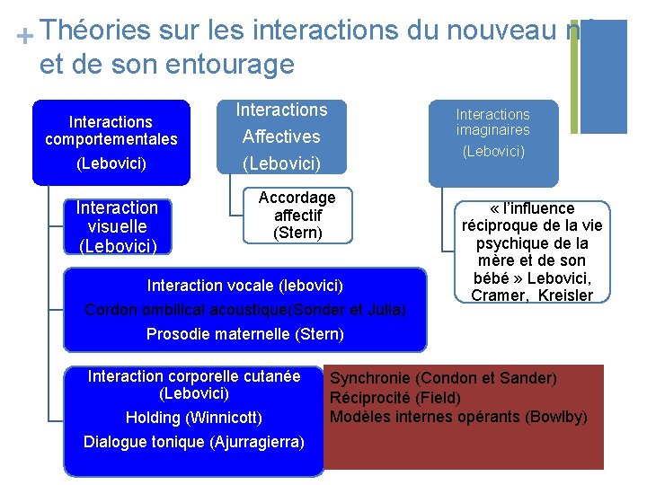 + Théories sur les interactions du nouveau né et de son entourage Interactions comportementales