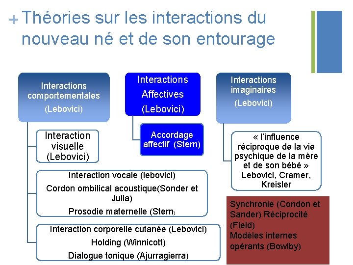 + Théories sur les interactions du nouveau né et de son entourage Interactions comportementales