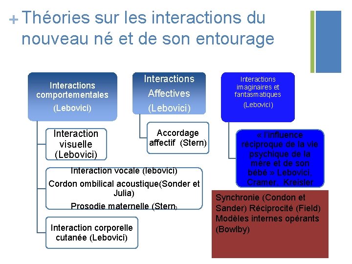 + Théories sur les interactions du nouveau né et de son entourage Interactions comportementales