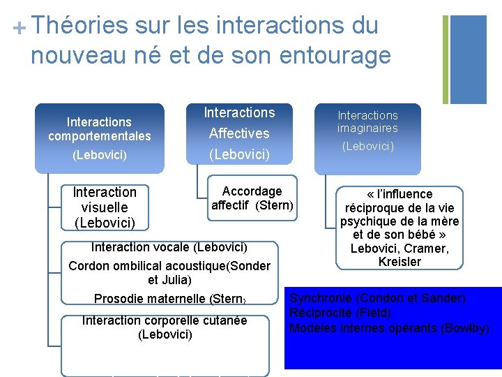 + Théories sur les interactions du nouveau né et de son entourage Interactions comportementales