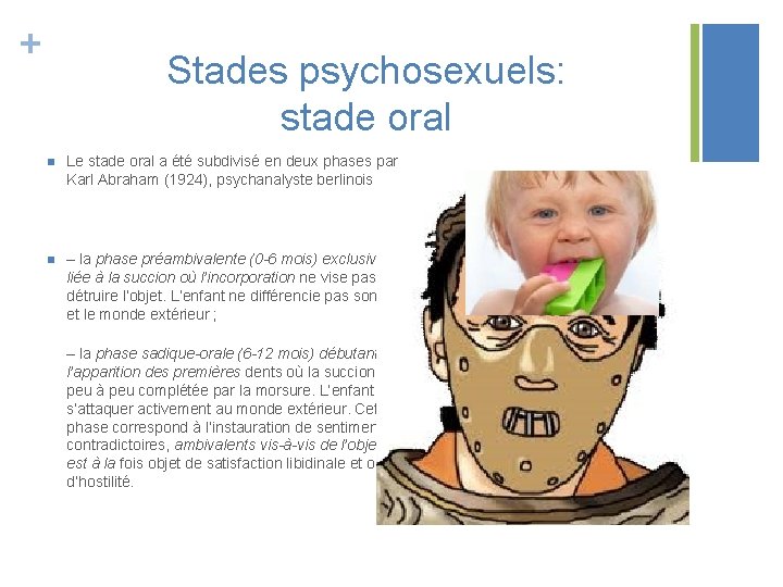 + Stades psychosexuels: stade oral n Le stade oral a été subdivisé en deux