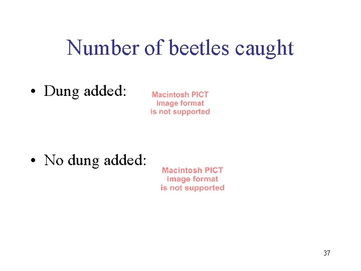 Number of beetles caught • Dung added: • No dung added: 37 