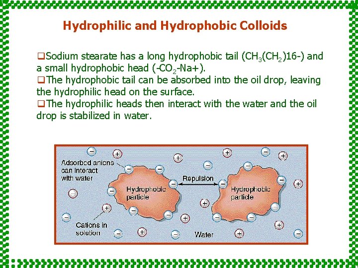 Hydrophilic and Hydrophobic Colloids q. Sodium stearate has a long hydrophobic tail (CH 3(CH