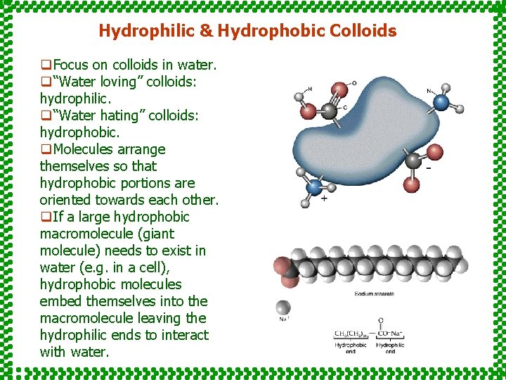 Hydrophilic & Hydrophobic Colloids q. Focus on colloids in water. q“Water loving” colloids: hydrophilic.