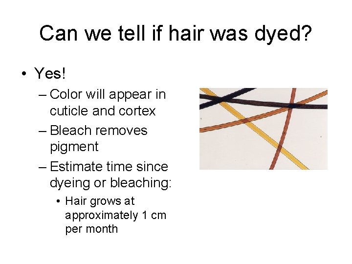 Can we tell if hair was dyed? • Yes! – Color will appear in