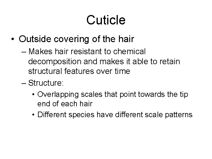 Cuticle • Outside covering of the hair – Makes hair resistant to chemical decomposition