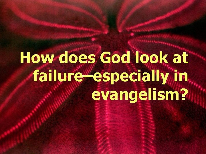 How does God look at failure–especially in evangelism? How does God look at failure–especially in evangelism?