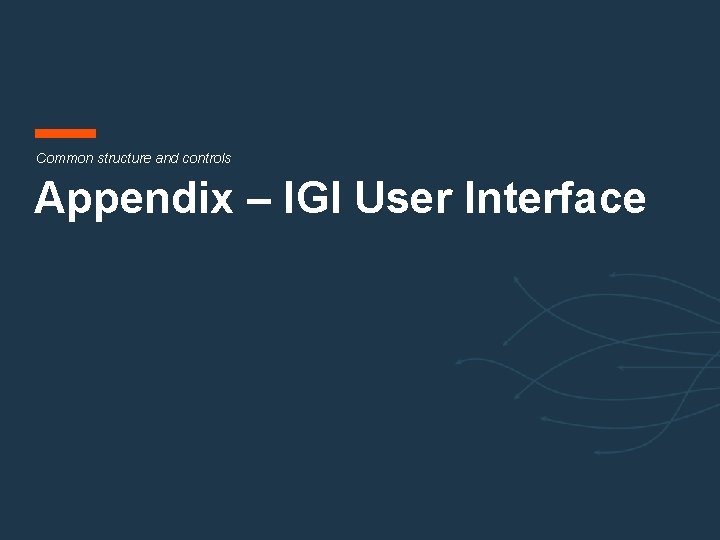 Common structure and controls Appendix – IGI User Interface 