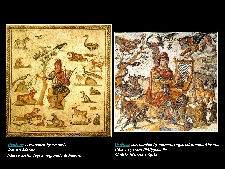 Orpheus surrounded by animals, Roman Mosaic Museo archeologico regionale di Palermo Orpheus surrounded by