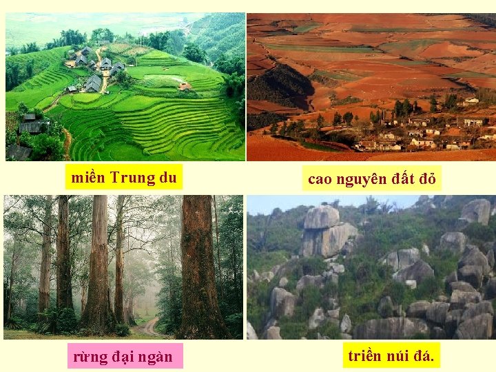 miền Trung du cao nguyên đất đỏ rừng đại ngàn triền núi đá. 