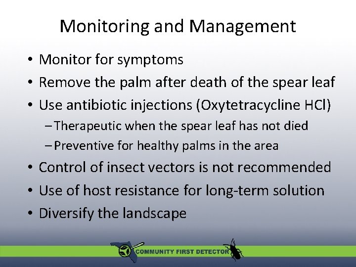 Monitoring and Management • Monitor for symptoms • Remove the palm after death of