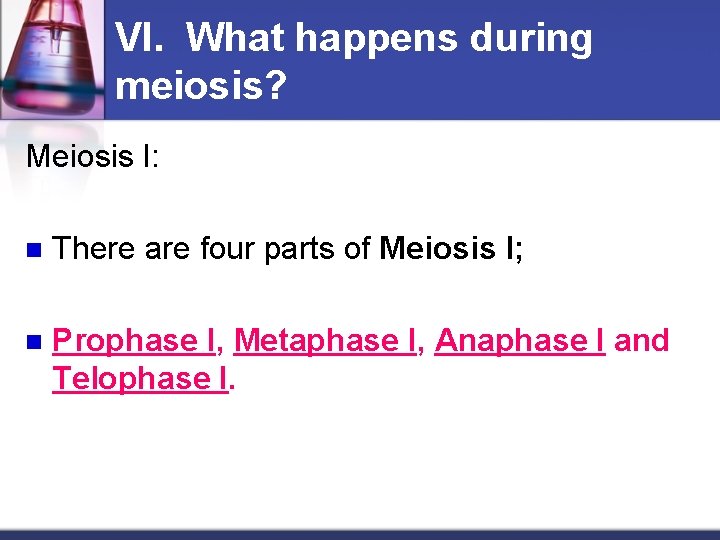 VI. What happens during meiosis? Meiosis I: n There are four parts of Meiosis