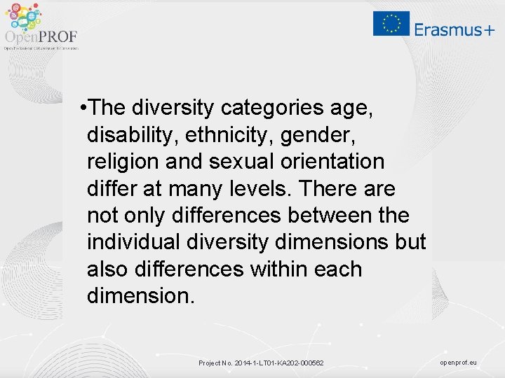  • The diversity categories age, disability, ethnicity, gender, religion and sexual orientation differ