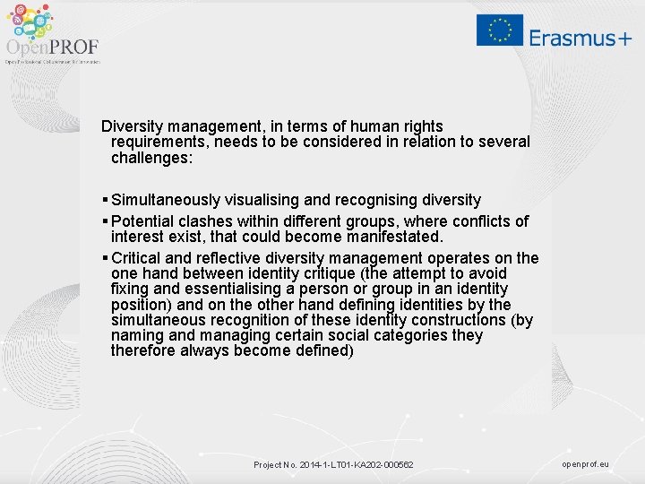 Diversity management, in terms of human rights requirements, needs to be considered in relation