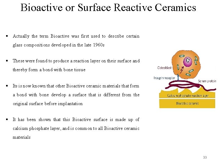Bioactive or Surface Reactive Ceramics § Actually the term Bioactive was first used to Bioactive or Surface Reactive Ceramics § Actually the term Bioactive was first used to