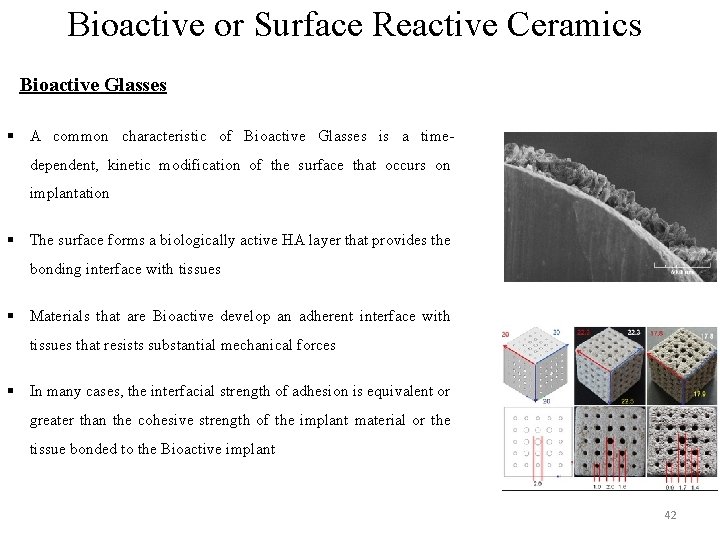 Bioactive or Surface Reactive Ceramics Bioactive Glasses § A common characteristic of Bioactive Glasses Bioactive or Surface Reactive Ceramics Bioactive Glasses § A common characteristic of Bioactive Glasses