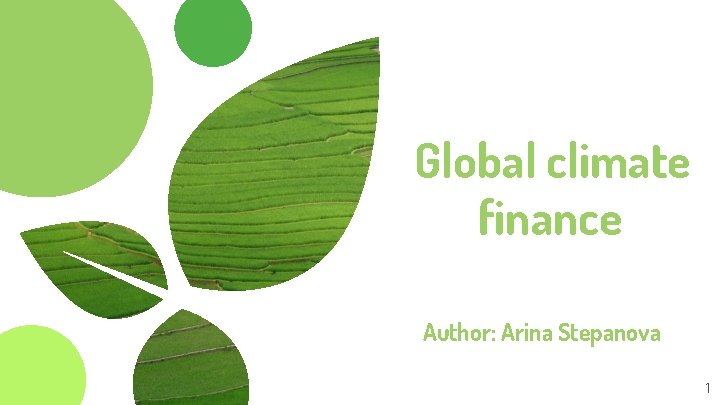 Global climate finance Author: Arina Stepanova 1 