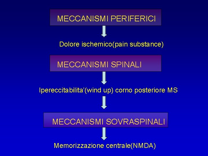 MECCANISMI PERIFERICI Dolore ischemico(pain substance) MECCANISMI SPINALI Ipereccitabilita’(wind up) corno posteriore MS MECCANISMI SOVRASPINALI MECCANISMI PERIFERICI Dolore ischemico(pain substance) MECCANISMI SPINALI Ipereccitabilita’(wind up) corno posteriore MS MECCANISMI SOVRASPINALI