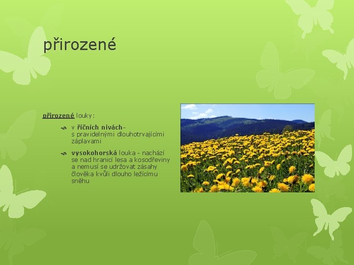 přirozené louky: v říčních niváchs pravidelnými dlouhotrvajícími záplavami vysokohorská louka - nachází se nad