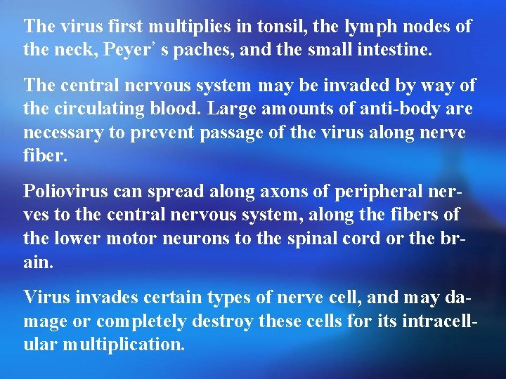 The virus first multiplies in tonsil, the lymph nodes of the neck, Peyer’ s