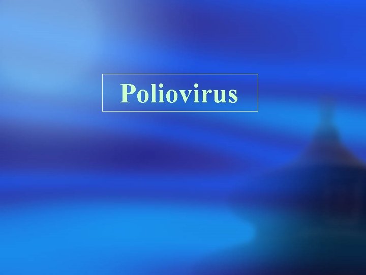 Poliovirus 