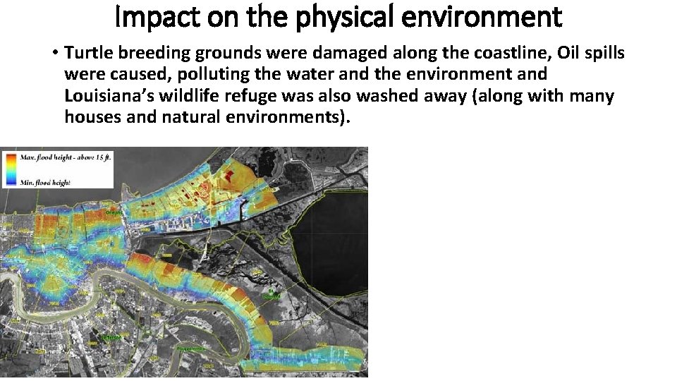Impact on the physical environment • Turtle breeding grounds were damaged along the coastline, Impact on the physical environment • Turtle breeding grounds were damaged along the coastline,