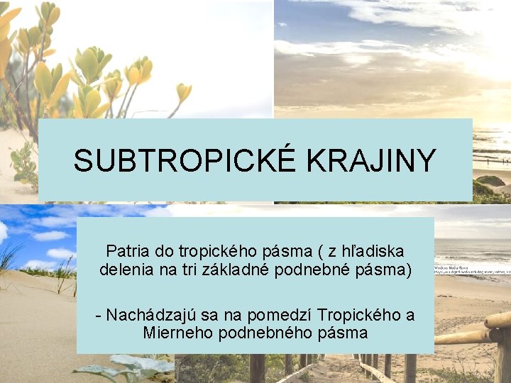 SUBTROPICKÉ KRAJINY Patria do tropického pásma ( z hľadiska delenia na tri základné podnebné