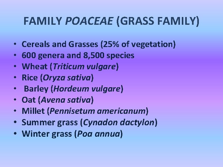 FAMILY POACEAE (GRASS FAMILY) • • • Cereals and Grasses (25% of vegetation) 600