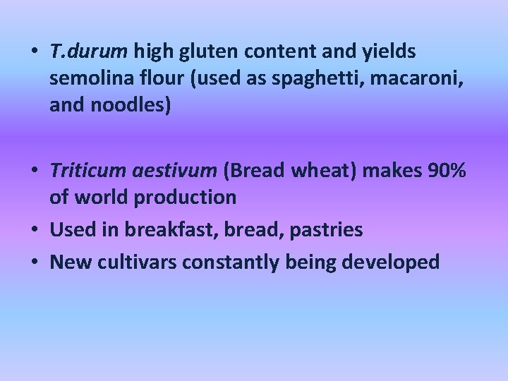  • T. durum high gluten content and yields semolina flour (used as spaghetti,