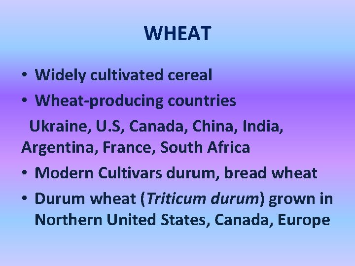 WHEAT • Widely cultivated cereal • Wheat-producing countries Ukraine, U. S, Canada, China, India,