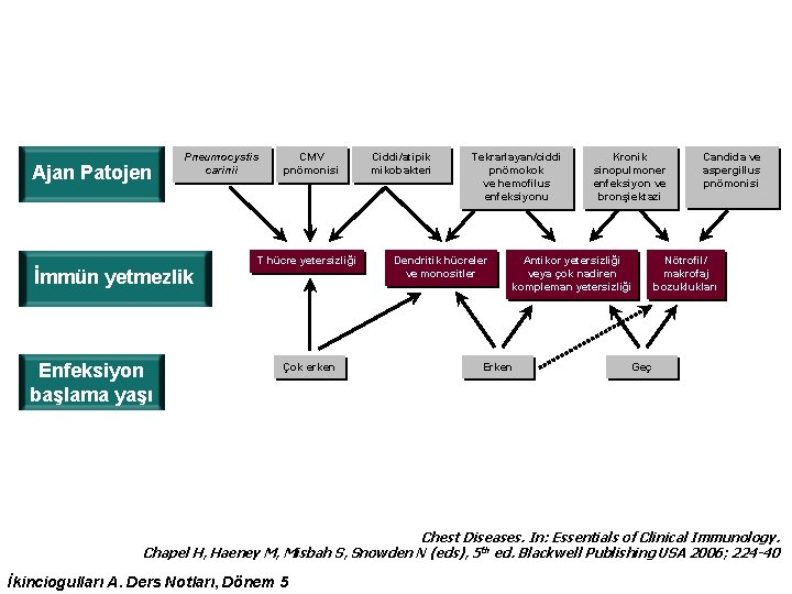 Ajan Patojen Pneumocystis carinii İmmün yetmezlik Enfeksiyon başlama yaşı CMV pnömonisi T hücre yetersizliği Ajan Patojen Pneumocystis carinii İmmün yetmezlik Enfeksiyon başlama yaşı CMV pnömonisi T hücre yetersizliği