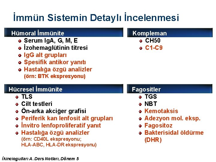 İmmün Sistemin Detaylı İncelenmesi Hümoral İmmünite Serum Ig. A, G, M, E İzohemaglütinin titresi İmmün Sistemin Detaylı İncelenmesi Hümoral İmmünite Serum Ig. A, G, M, E İzohemaglütinin titresi