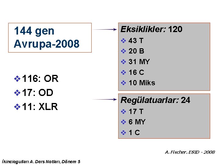 144 gen Avrupa-2008 Eksiklikler: 120 v 43 T v 20 B v 31 MY 144 gen Avrupa-2008 Eksiklikler: 120 v 43 T v 20 B v 31 MY