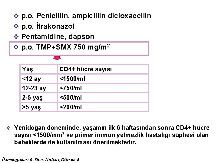 v p. o. Penicillin, ampicillin dicloxacellin v p. o. İtrakonazol v Pentamidine, dapson v v p. o. Penicillin, ampicillin dicloxacellin v p. o. İtrakonazol v Pentamidine, dapson v