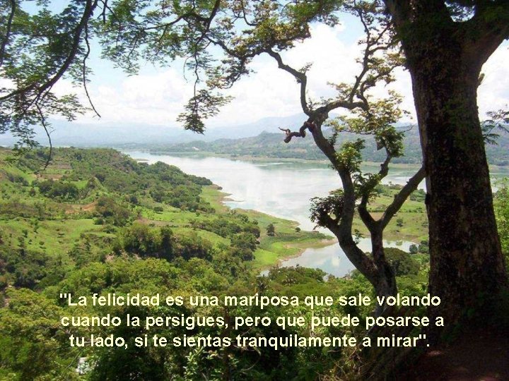 "La felicidad es una mariposa que sale volando cuando la persigues, pero que puede "La felicidad es una mariposa que sale volando cuando la persigues, pero que puede