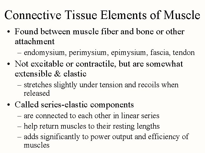 Connective Tissue Elements of Muscle • Found between muscle fiber and bone or other