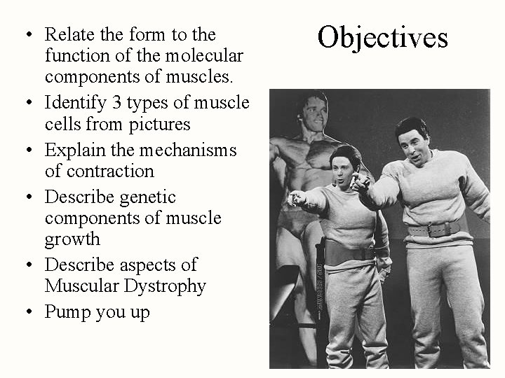  • Relate the form to the function of the molecular components of muscles.