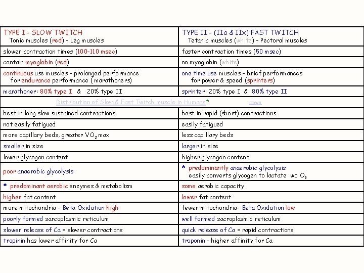 TYPE I - SLOW TWITCH TYPE II - (IIa & IIx) FAST TWITCH slower