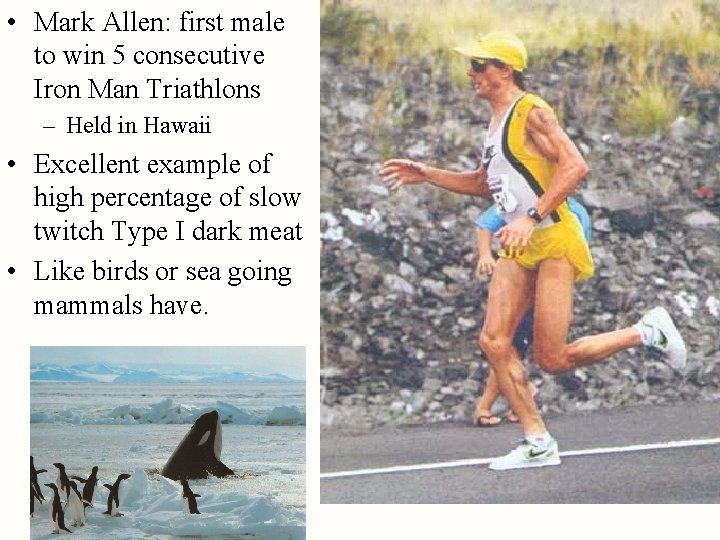  • Mark Allen: first male to win 5 consecutive Iron Man Triathlons –