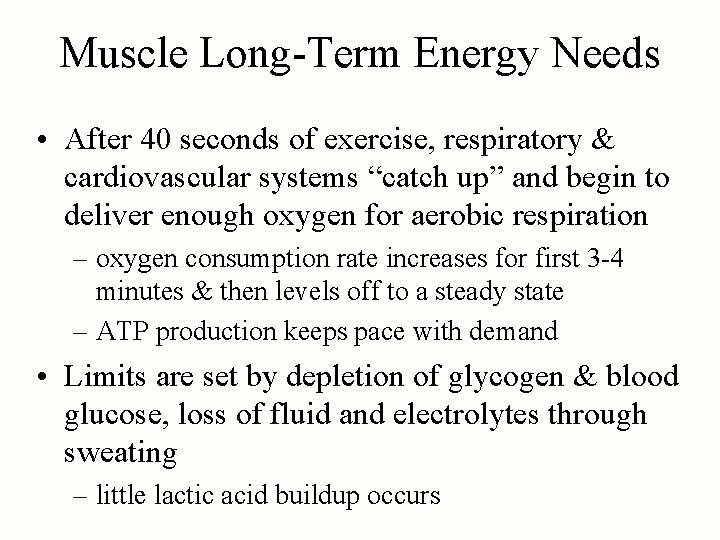 Muscle Long-Term Energy Needs • After 40 seconds of exercise, respiratory & cardiovascular systems