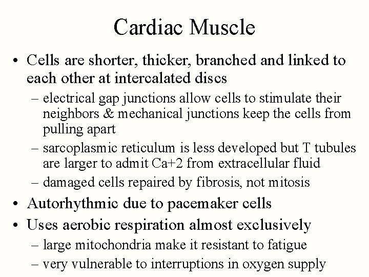 Cardiac Muscle • Cells are shorter, thicker, branched and linked to each other at