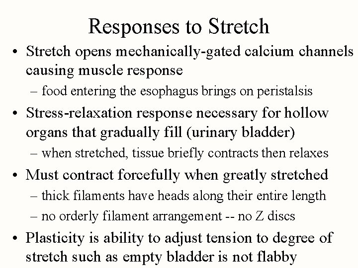 Responses to Stretch • Stretch opens mechanically-gated calcium channels causing muscle response – food