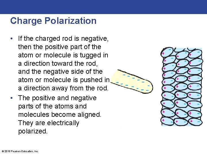 Charge Polarization • If the charged rod is negative, then the positive part of