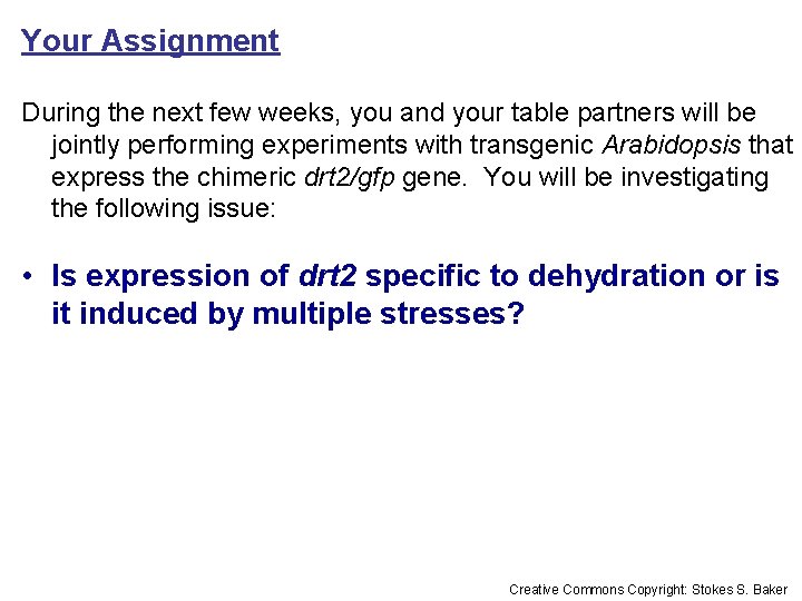 Your Assignment During the next few weeks, you and your table partners will be