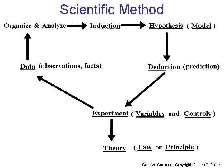 Scientific Method Creative Commons Copyright: Stokes S. Baker 